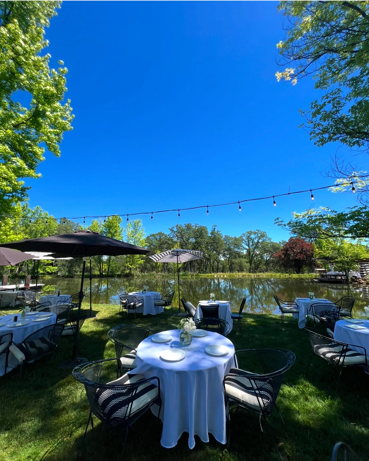 Mother's Day Brunch By The Pond - Adult Ticket - (9:00am-11:00am)